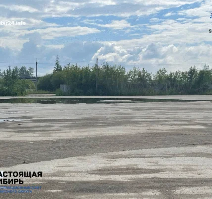 Ангарск перейдёт к экологичной утилизации снега