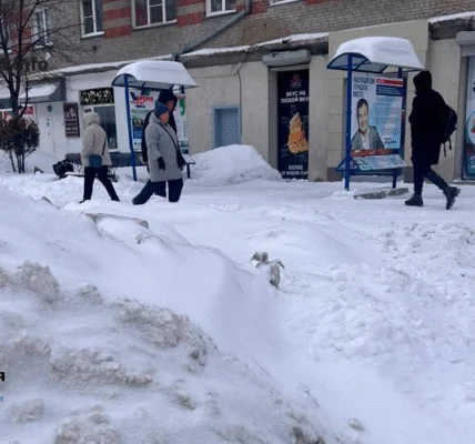 Жители Новосибирска массово жалуются на неубранный снег