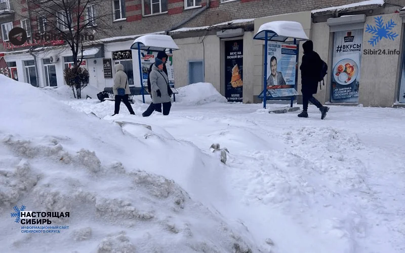 Жители Новосибирска массово жалуются на неубранный снег