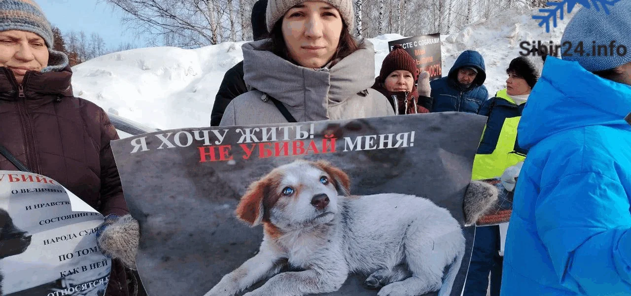 Пикет против убийства бездомных собак прошёл в Томске