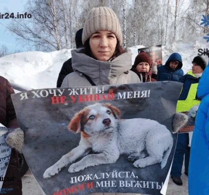 Пикет против убийства бездомных собак прошёл в Томске