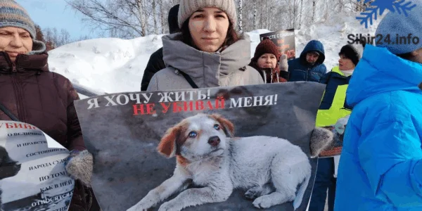 Пикет против убийства бездомных собак прошёл в Томске