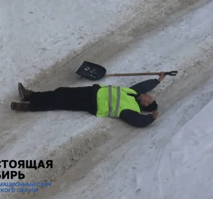 Алтайский край и Новосибирская область столкнулись с дефицитом дворников