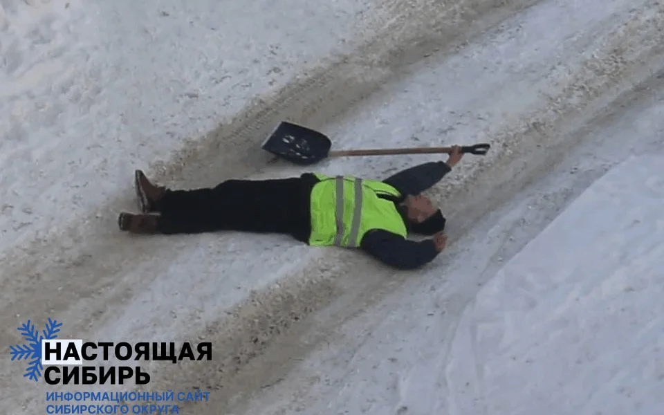 Алтайский край и Новосибирская область столкнулись с дефицитом дворников