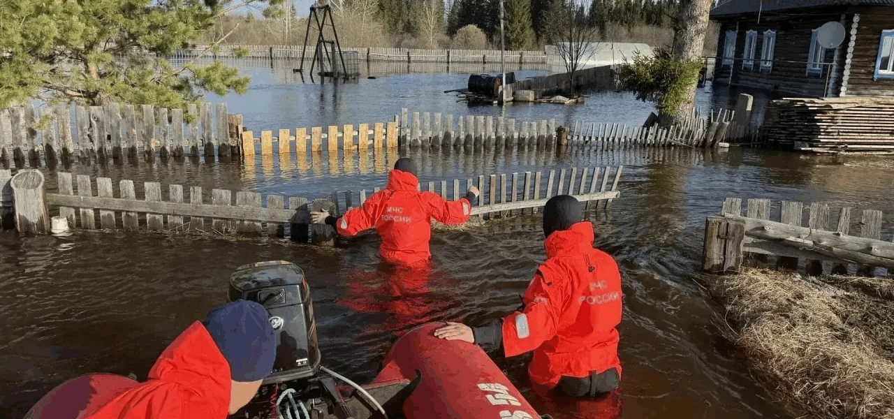 В Новосибирской области затопило село
