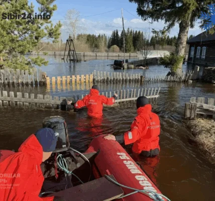 В&nbsp;Новосибирской области затопило село
